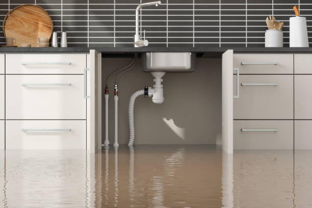 Best Professional water damage repair  in Canton, PA